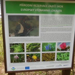 Hop na Zaječí skok u Jihlavy - Vysočina s dětmi