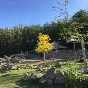 Jihlava ZOO - Vysočina s dětmi
