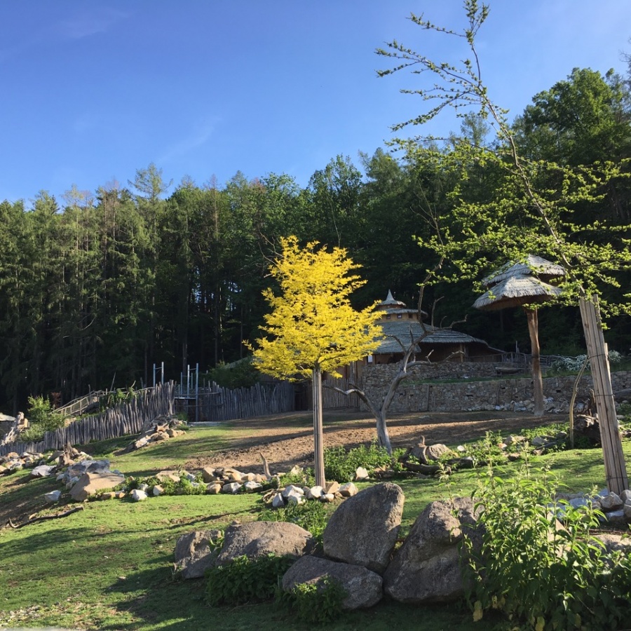 Jihlava ZOO obrázek 3