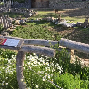 Jihlava ZOO - Vysočina s dětmi