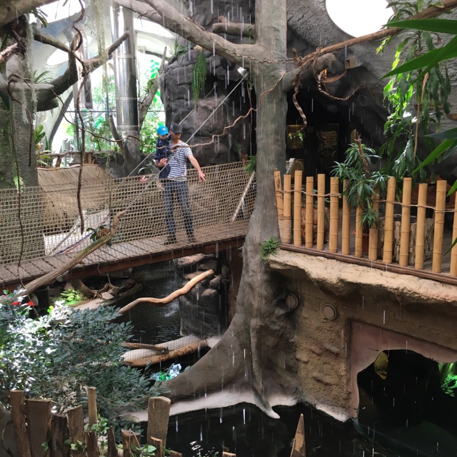 Jihlava ZOO obrázek 7