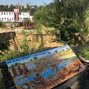 Jihlava ZOO - Vysočina s dětmi