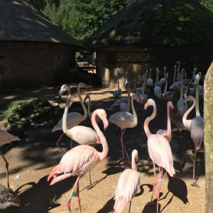 Jihlava ZOO - Vysočina s dětmi