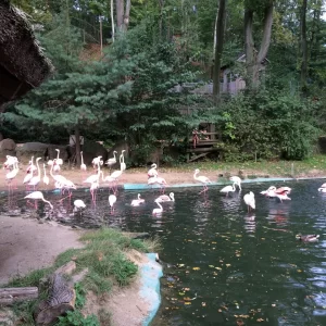 Jihlava ZOO - Vysočina s dětmi