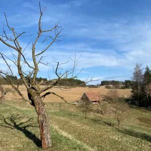 Tajemná Dolní Rožínka a minerály na Rožné - Vysočina s dětmi