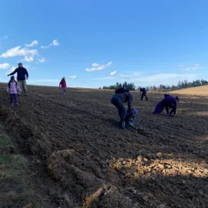 Tajemná Dolní Rožínka a minerály na Rožné - Vysočina s dětmi