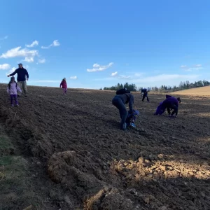 Tajemná Dolní Rožínka a minerály na Rožné - Vysočina s dětmi
