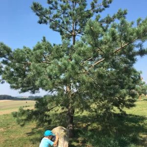 Domanín lanový park a okolí - Vysočina s dětmi
