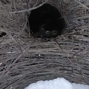 S dětmi na hrad Roštejn - Vysočina s dětmi
