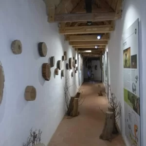 S dětmi na hrad Roštejn - Vysočina s dětmi