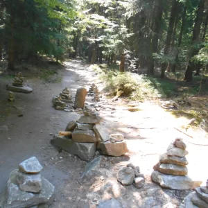 Z Pařezáku na Javořici - Vysočina s dětmi