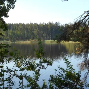 Z Pařezáku na Javořici - Vysočina s dětmi