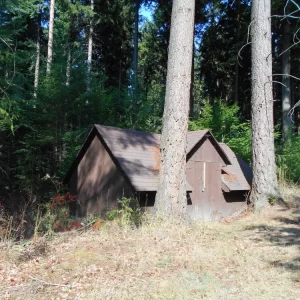 Z Pařezáku na Javořici - Vysočina s dětmi