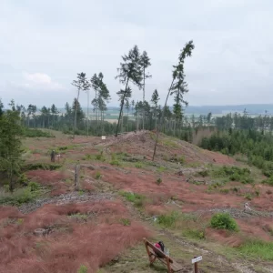 Putování malého človíčete - Vysočina s dětmi