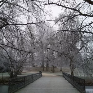 Pohádková Telč a okolí - Vysočina s dětmi