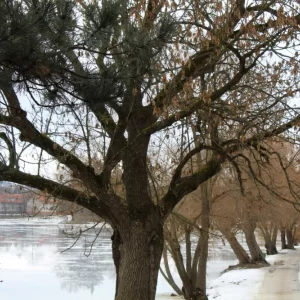 Pohádková Telč a okolí - Vysočina s dětmi