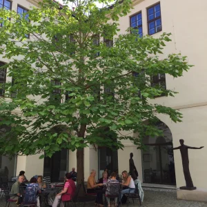 Pohádková Telč a okolí - Vysočina s dětmi