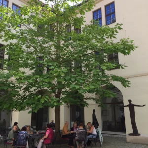 Pohádková Telč a okolí - Vysočina s dětmi