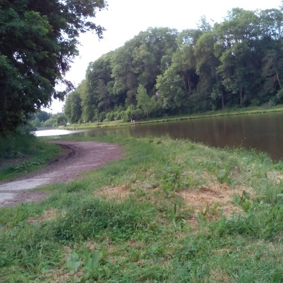 Z Krkavčího vrchu do Pístova nebo na Starou plovárnu obrázek 8