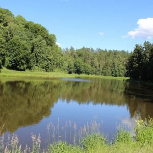Z Krkavčího vrchu do Pístova nebo na Starou plovárnu - Vysočina s dětmi