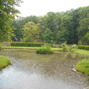 Obora bílých jelenů - Vysočina s dětmi