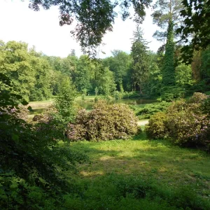 Obora bílých jelenů - Vysočina s dětmi