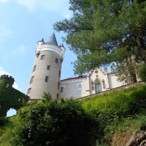 Obora bílých jelenů - Vysočina s dětmi