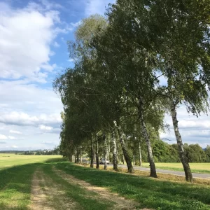 Sobíňov NS - Vysočina s dětmi