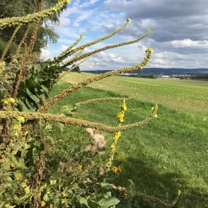 Sobíňov NS - Vysočina s dětmi