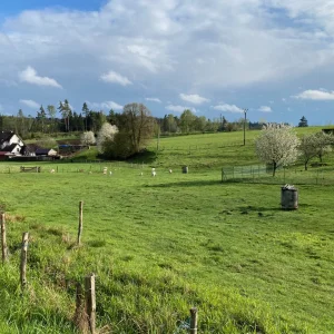 Peperek na konci světa - Vysočina s dětmi