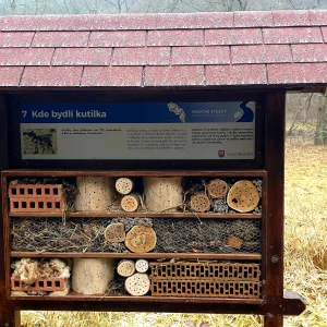 Velké Meziříčí s dětmi - Vysočina s dětmi