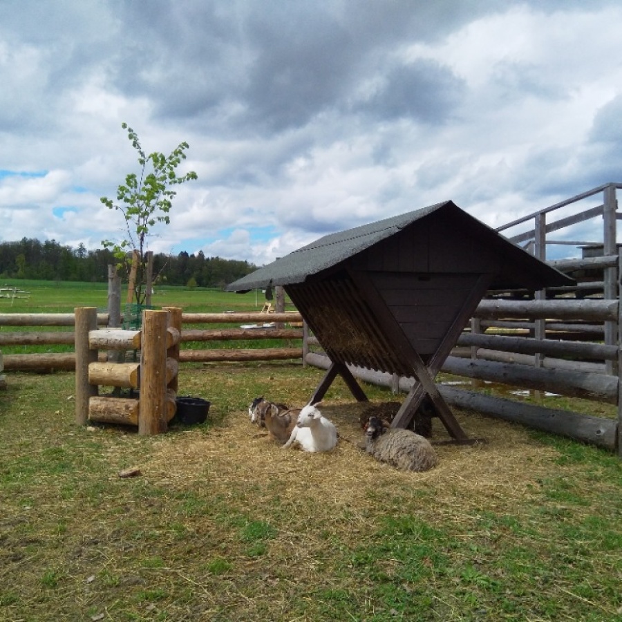 Telč Ranč obrázek 21
