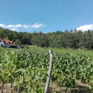 Třebíčsko s dětmi - Vysočina s dětmi