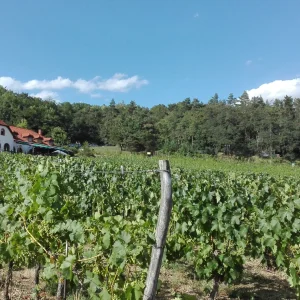 Třebíčsko s dětmi - Vysočina s dětmi