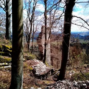 Zřícenina Štamberku a zatopený lom - Vysočina s dětmi