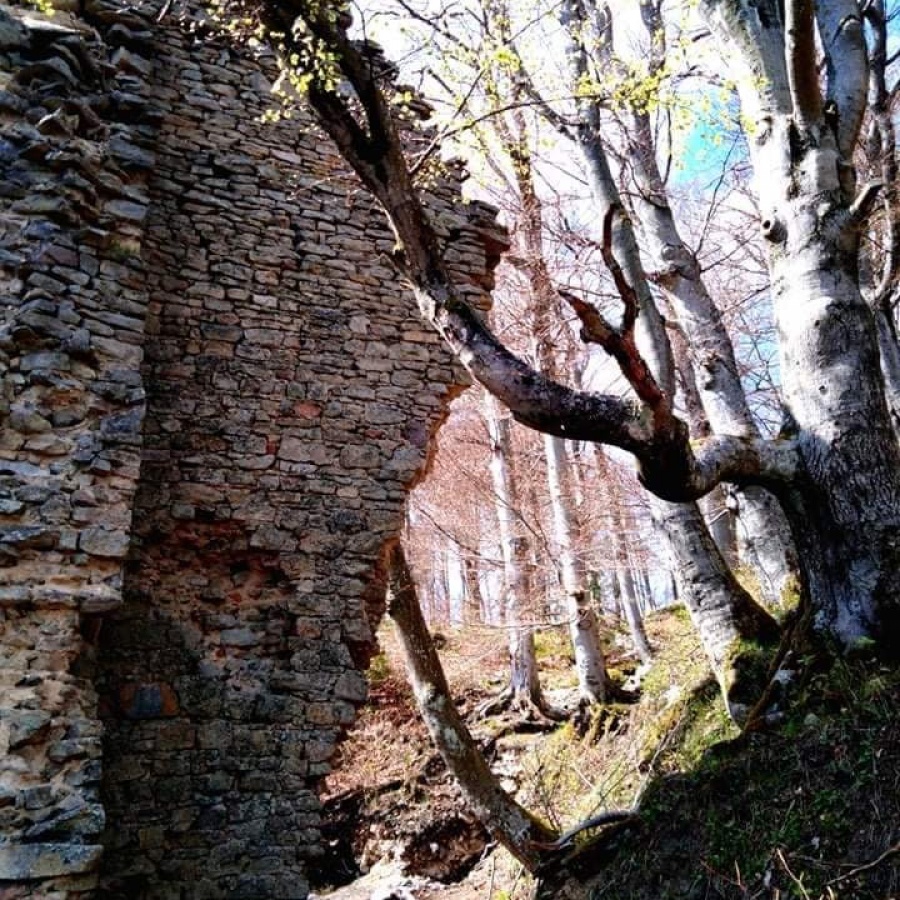 Zřícenina Štamberku a zatopený lom obrázek 10