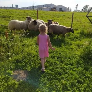 Bystřice nad Pernštejnem s dětmi - Vysočina s dětmi