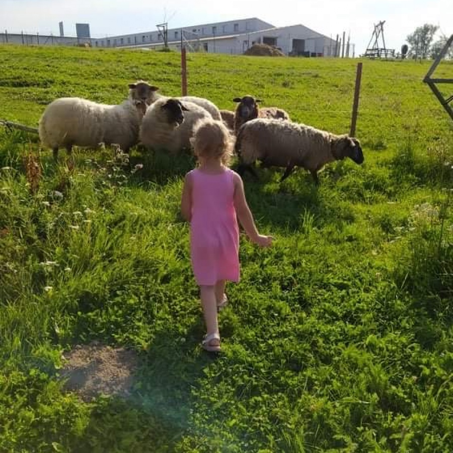 Bystřice nad Pernštejnem s dětmi obrázek 14