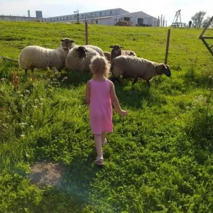 Bystřice nad Pernštejnem s dětmi - Vysočina s dětmi