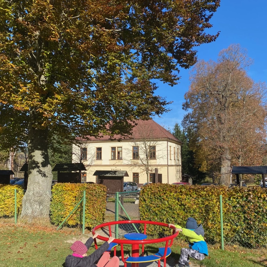 Devět skal a NS Naše stromy / 2