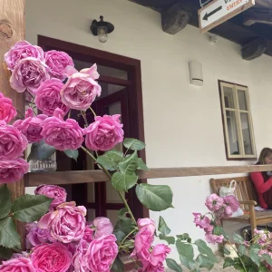 Vesnička Krátká  a Dům přírody Žďárských vrchů - Vysočina s dětmi