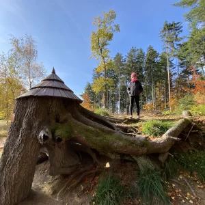 Z Pařezáku na Javořici - Vysočina s dětmi
