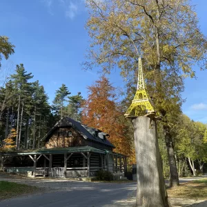 Z Pařezáku na Javořici - Vysočina s dětmi