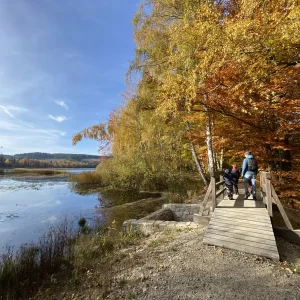 Z Pařezáku na Javořici - Vysočina s dětmi