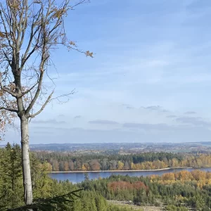 Z Pařezáku na Javořici - Vysočina s dětmi