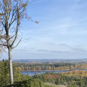 Z Pařezáku na Javořici - Vysočina s dětmi
