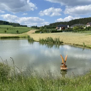 Bory u Velkého Meziříčí - Vysočina s dětmi