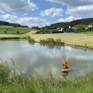 Bory u Velkého Meziříčí - Vysočina s dětmi
