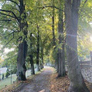 Hrad Lipnice a památník odposlechu - Vysočina s dětmi