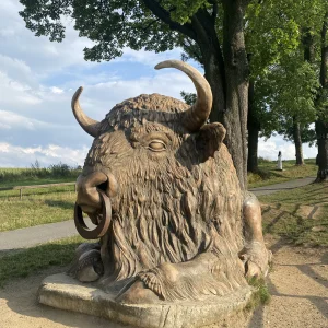 Bystřice nad Pernštejnem s dětmi - Vysočina s dětmi